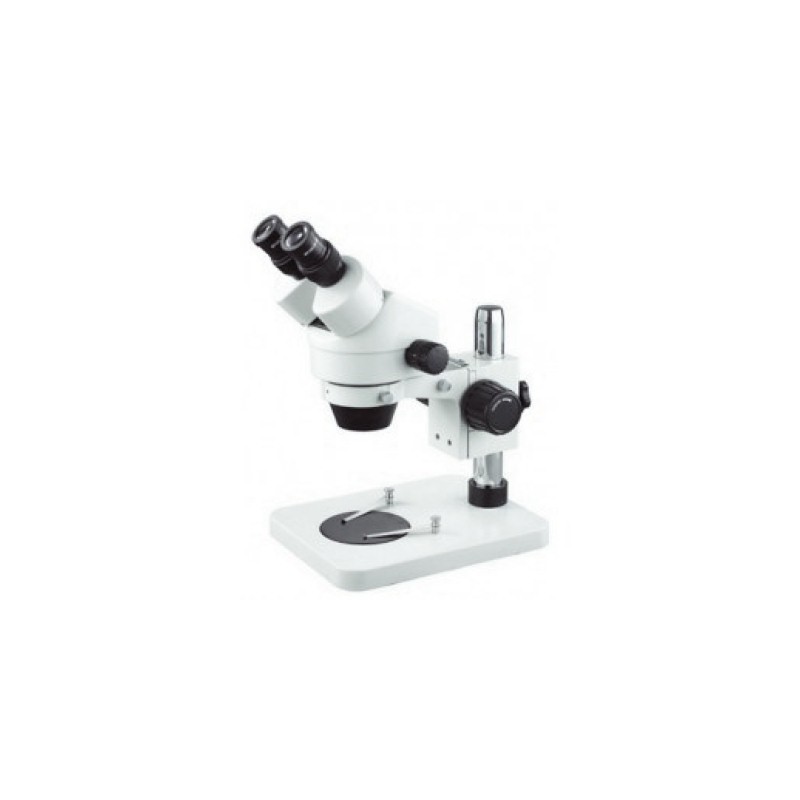 Loupe binoculaire - Stéréomicroscope Optika & Zeiss