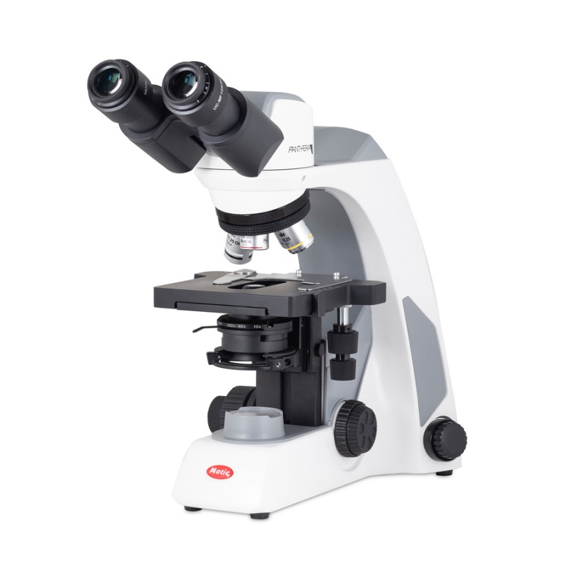 Microscope Panthera E2 LED binoculaire