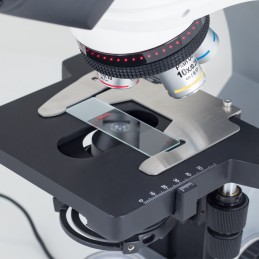 Microscope Panthera E2 LED binoculaire