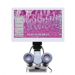 Ensemble écran 11.6" avec...