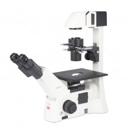 Microscope inversé AE31E binocuaire à contraste de phase