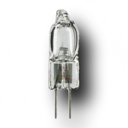 Ampoules halogène 6V 20W...